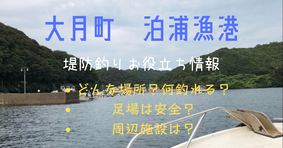 大月町泊浦漁港の記事アイキャッチ画像
